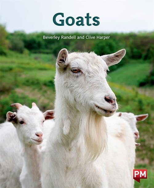 BEVERLEY RANDELL - GOATS - Paperback image 1