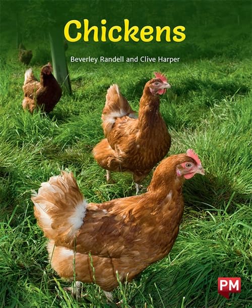 BEVERLEY RANDELL - CHICKENS - Paperback image 1