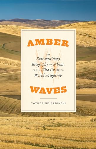 Catherine Zabinski - Amber Waves - The Extraordinary Biography of Whea image 1