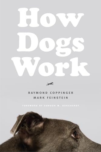 Mark Feinstein - How Dogs Work - Paperback image 1