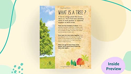 Claire McElfatrick - RHS The Magic and Mystery of Trees - Hardback image 2