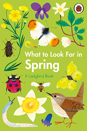Elizabeth Jenner - What to Look For in Spring - Hardback image 1