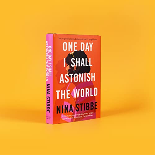 Nina Stibbe - One Day I Shall Astonish the World - Hardback image 4