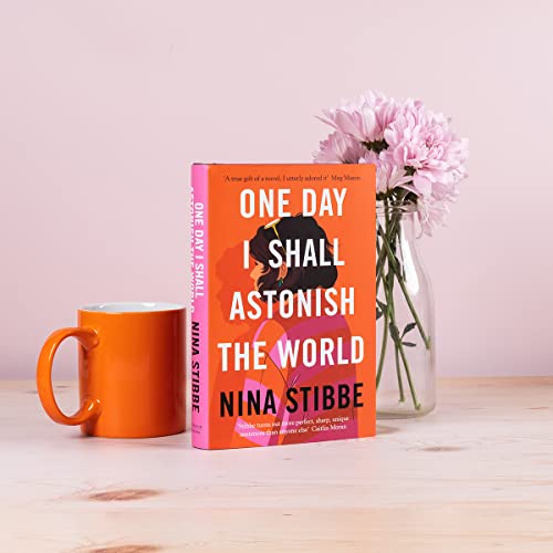 Nina Stibbe - One Day I Shall Astonish the World - Hardback image 5