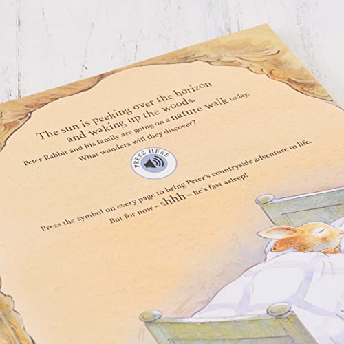Beatrix Potter - Peter Rabbit: Peter's Nature Walk : A Sound Book image 4