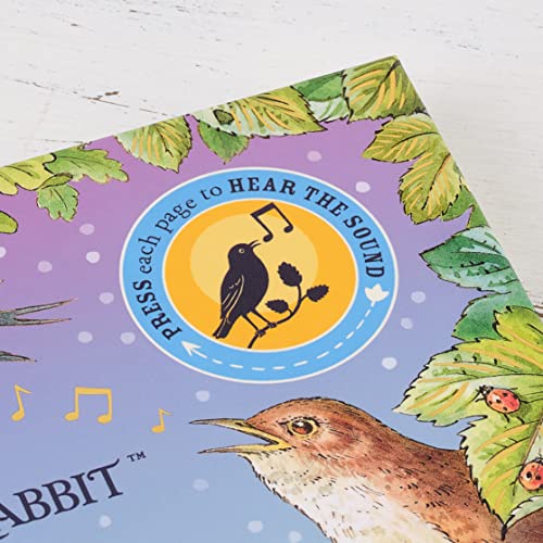 Beatrix Potter - Peter Rabbit: Peter's Nature Walk : A Sound Book image 5
