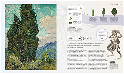 DK - Tree Book : The Stories, Science, and History of Trees - Hardback image 2