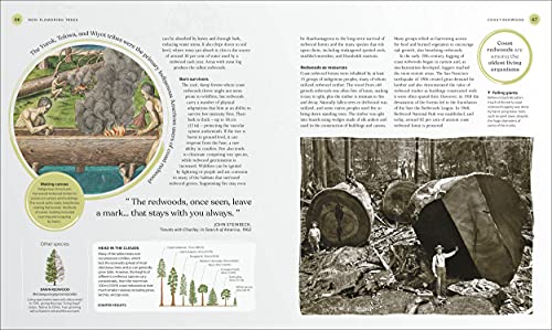 DK - Tree Book : The Stories, Science, and History of Trees - Hardback image 4