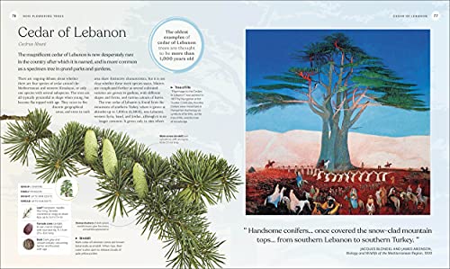 DK - Tree Book : The Stories, Science, and History of Trees - Hardback image 5