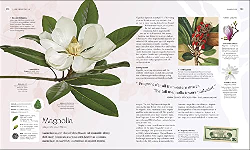 DK - Tree Book : The Stories, Science, and History of Trees - Hardback image 6