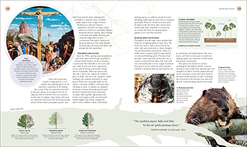 DK - Tree Book : The Stories, Science, and History of Trees - Hardback image 8