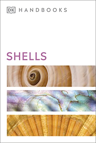 DK - Shells - Hardback image 1