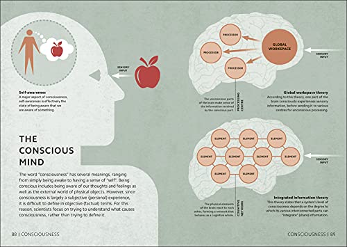 DK - Simply Psychology - Hardback image 4