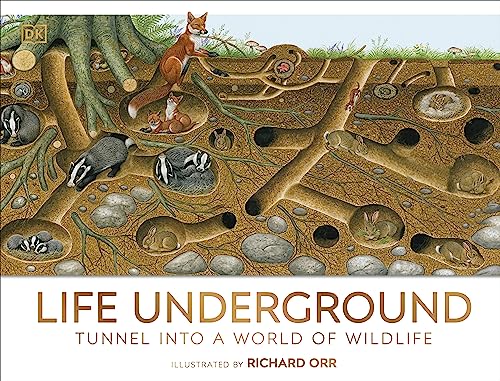 DK - Life Underground : Tunnel into a World of Wildlife - Hardback image 1