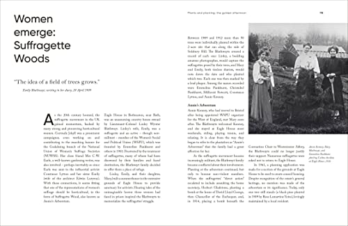 Stephen Parker - England's Gardens : A Modern History - Hardback image 3