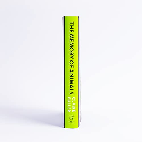 Claire Fuller - Memory of Animals : From the Costa Novel Award-winning image 3