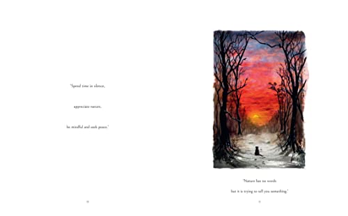 James Norbury - Cat Who Taught Zen : The beautifully illustrated new t image 4