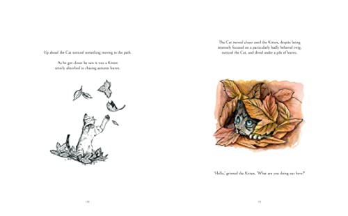 James Norbury - Cat Who Taught Zen : The beautifully illustrated new t image 5