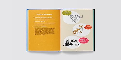 Lili Chin - Kitty Language : An Illustrated Guide to Understanding You image 3