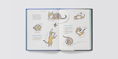 Lili Chin - Kitty Language : An Illustrated Guide to Understanding You image 4