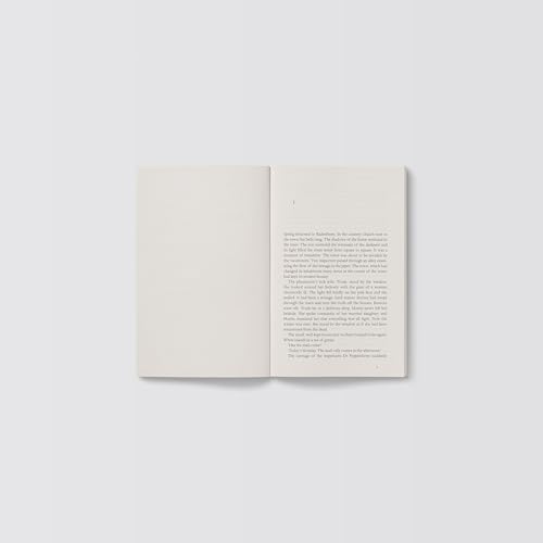 Aharon Appelfeld - Badenheim 1939 - Paperback image 2