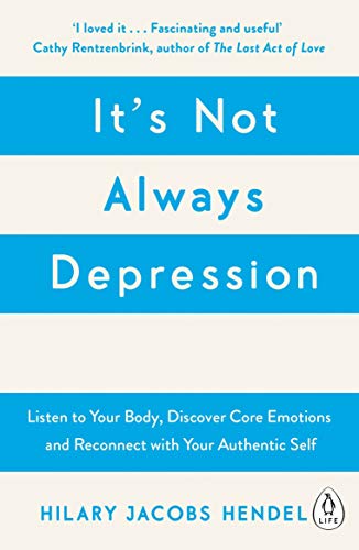 Hilary Jacobs Hendel - It's Not Always Depression : A New Theory o image 1