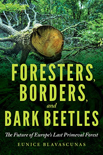 Eunice Blavascunas - Foresters, Borders, and Bark Beetles : The Future image 1
