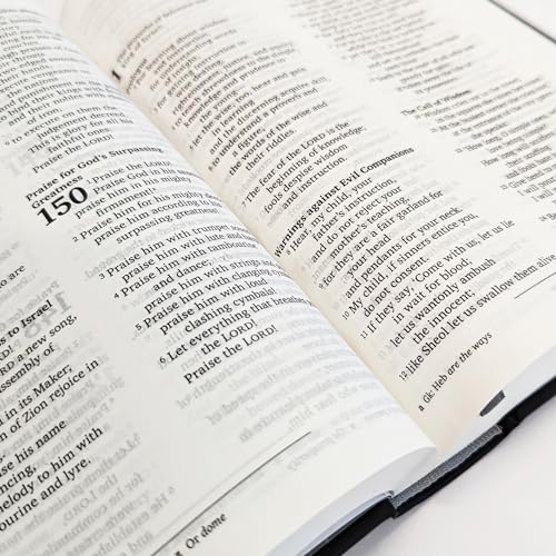 National Council of - NRSVue Holy Bible with Apocrypha: New Revised St image 8