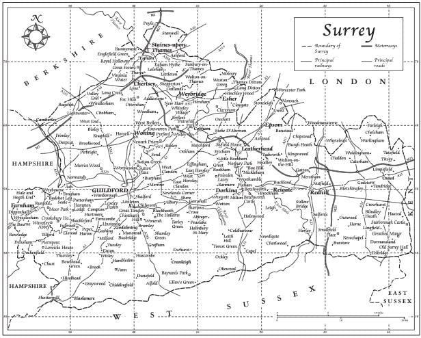 Bridget Cherry - Surrey - Hardback image 2