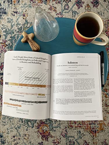 Lysa TerKeurst - 40 Days Through the Bible : The Answers to Your Deepe image 3