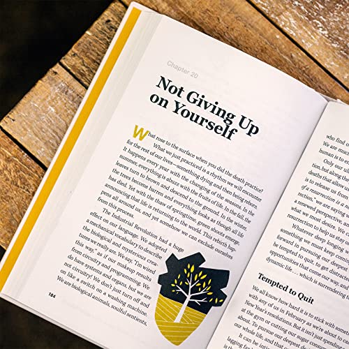 Scott Erickson - Say Yes : Discover the Surprising Life beyond the Dea image 8