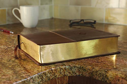 Zondervan - Amplified Study Bible, Leathersoft, Brown - Hardback image 5