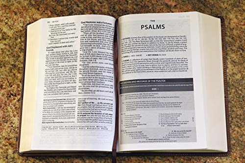 Zondervan - Amplified Study Bible, Leathersoft, Brown - Hardback image 6