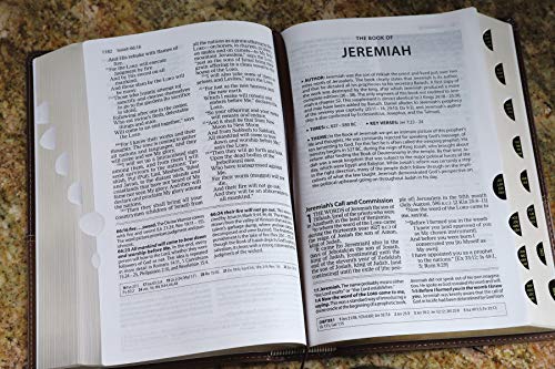 Zondervan - Amplified Study Bible, Leathersoft, Brown - Hardback image 7