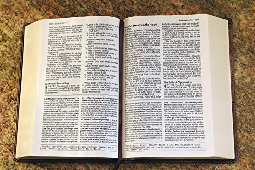 Zondervan - Amplified Study Bible, Leathersoft, Brown - Hardback image 8