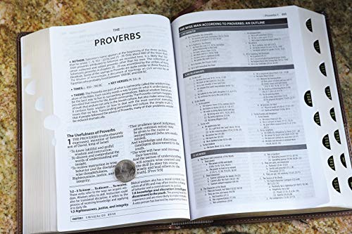 Zondervan - Amplified Study Bible, Leathersoft, Brown - Hardback image 9