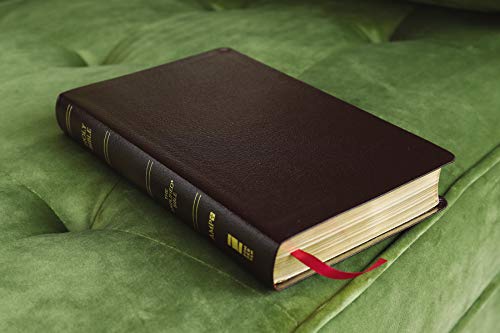 Amplified Holy Bible, Bonded Leather, Burgundy : Captures the Full Mea image 2