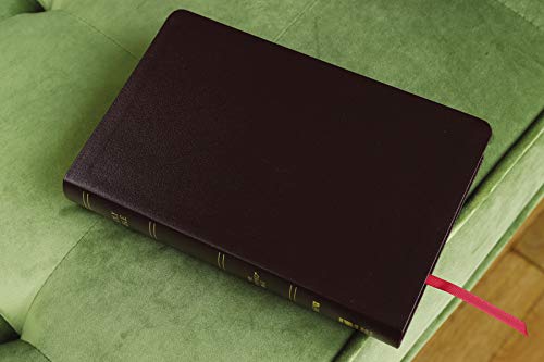 Amplified Holy Bible, Bonded Leather, Burgundy : Captures the Full Mea image 3