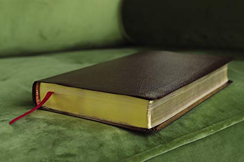 Amplified Holy Bible, Bonded Leather, Burgundy : Captures the Full Mea image 5