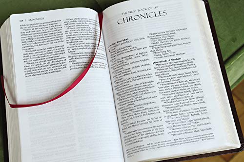 Amplified Holy Bible, Bonded Leather, Burgundy : Captures the Full Mea image 6