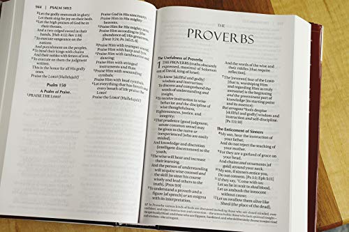 Amplified Holy Bible, Large Print, Hardcover : Captures the Full Meani image 5