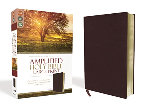 Amplified Holy Bible, Large Print, Bonded Leather, Burgundy : Captures