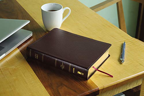 Amplified Holy Bible, Large Print, Bonded Leather, Burgundy : Captures image 2