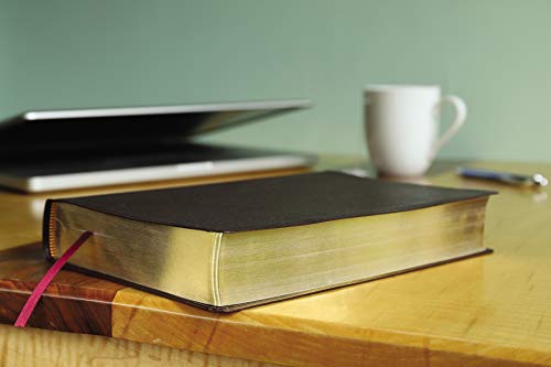 Amplified Holy Bible, Large Print, Bonded Leather, Burgundy : Captures image 4