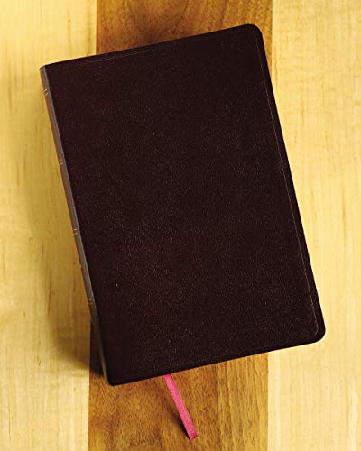 Amplified Holy Bible, Large Print, Bonded Leather, Burgundy : Captures image 5