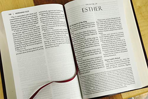 Amplified Holy Bible, Large Print, Bonded Leather, Burgundy : Captures image 6