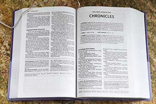 Zondervan - Amplified Study Bible, Hardcover - Hardback image 7