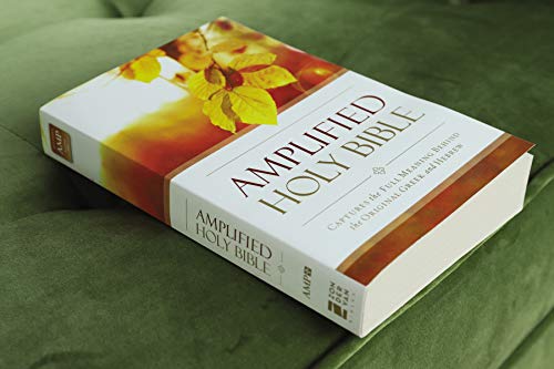 Zondervan - Amplified Outreach Bible, Paperback : Capture the Full Mea image 2