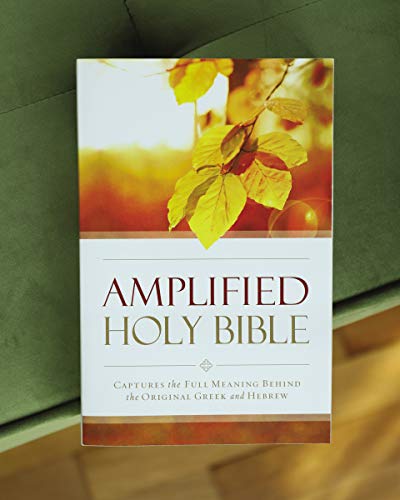 Zondervan - Amplified Outreach Bible, Paperback : Capture the Full Mea image 3