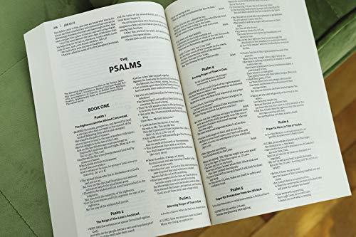 Zondervan - Amplified Outreach Bible, Paperback : Capture the Full Mea image 5